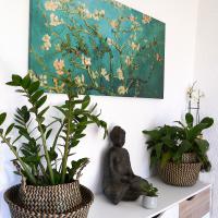 Feng shui prospérité